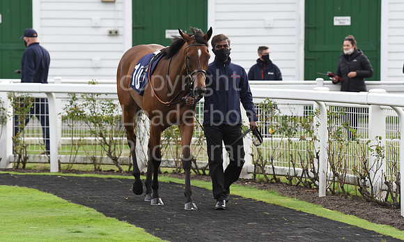 Gt_Yarmouth_Races_230Aug-57