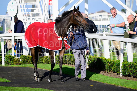 NZ9_4964