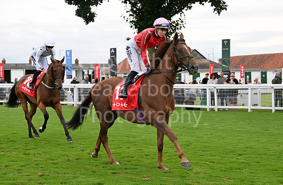 Gt_Yarm_July25_Racing_League_2024-231