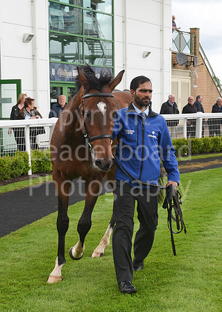 Gt_Yarm_May_22_2024-171