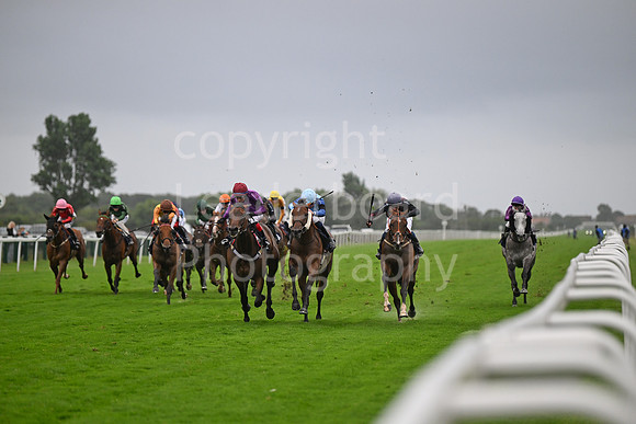 Gt_Yarm_Ladies Night_2025-99