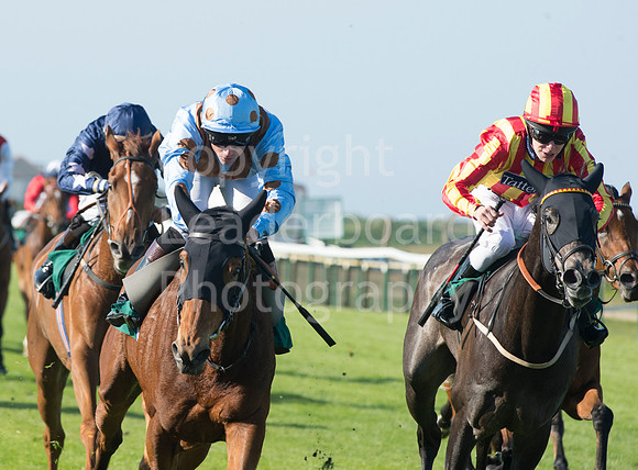 LB_Yarouth_races_2016_2359