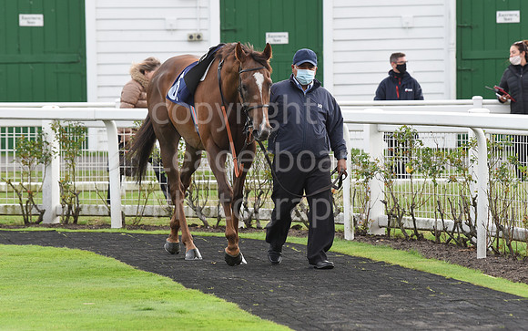 Gt_Yarmouth_Races_230Aug-55