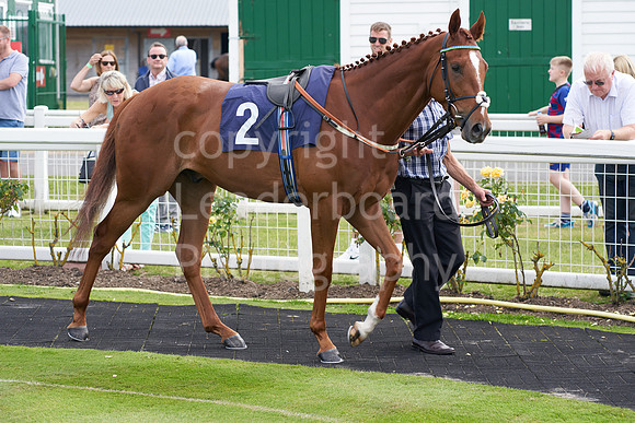 Great Yarmouth  Race Five 11th Aug 2021 0384