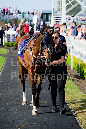 NZ9_5676