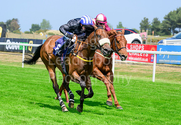 NZ9_2280