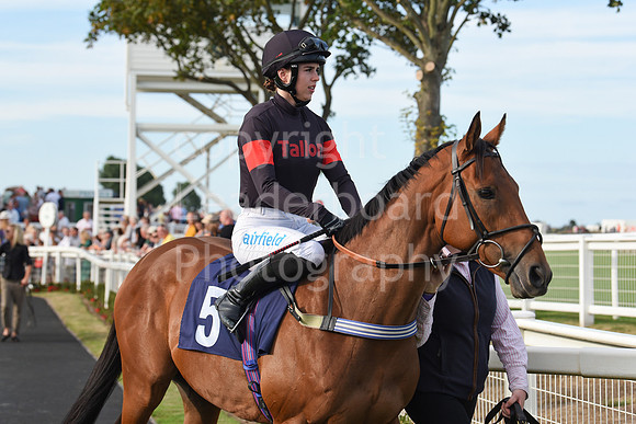 Gt_Yarm_Races_28_Aug_2022-208