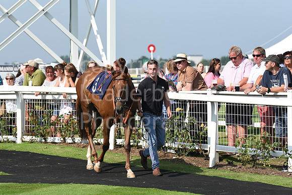 GY_Races_25_July-81