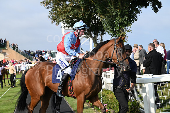Gt_Yarm_Eastern_Fest_18_Sept_2024-89