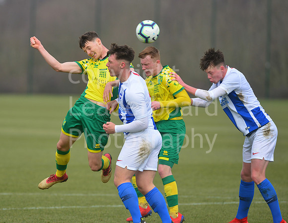 NB_042_NCFC_U18_Brighton