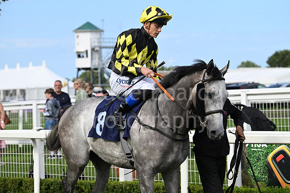Gt_Yarm_28_July_2025-204