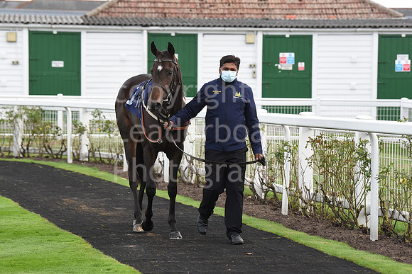 Gt_Yarmouth_Races_230Aug-176