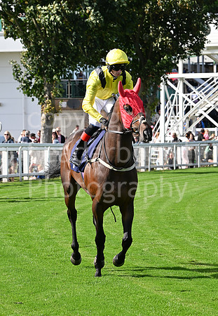 Gt_Yarm_25_Aug_Family_Raceday_2024-138