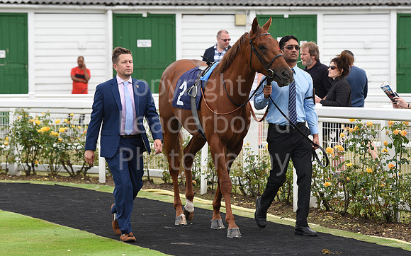 Yarm_Races_17July-19