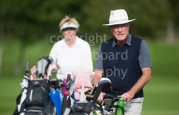 NB_34_Ping_Family