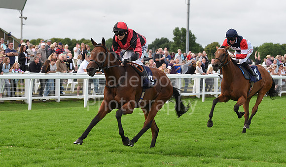 Gt_Yarm_Races_24_Aug_2021-244
