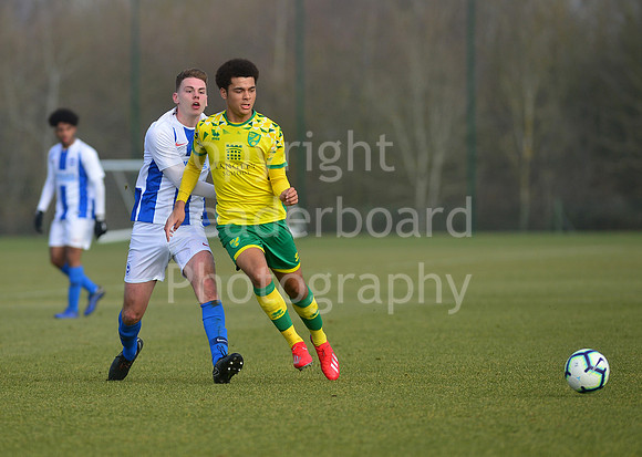 NB_013_NCFC_U18_Brighton