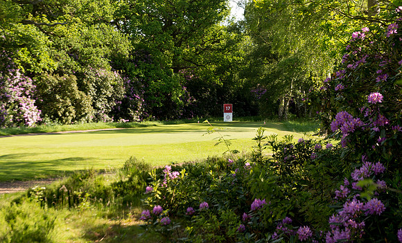 LB_Brabazon_2017_3123