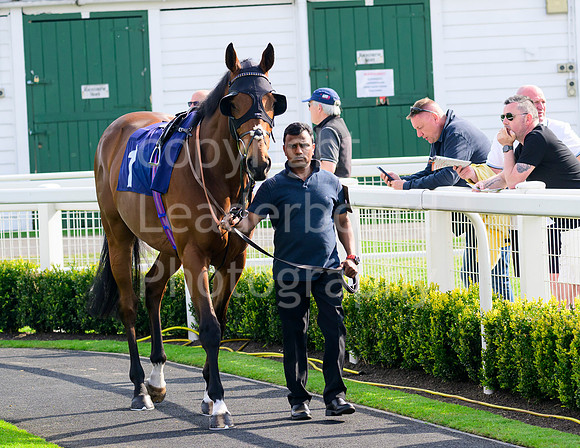 NZ9_5647