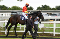 Gt_Yarmouth_Races_22July2020-15