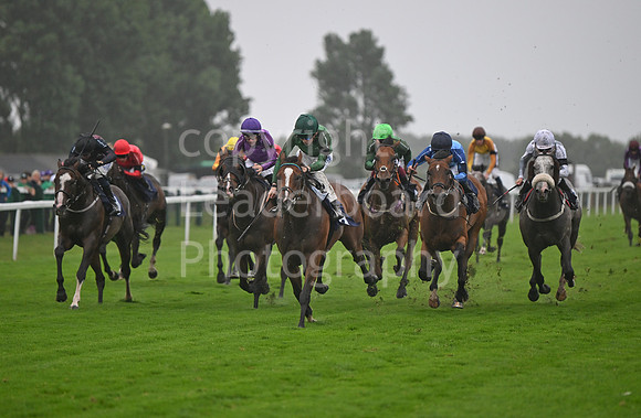 Gt_Yarm_Ladies Night_2025-63