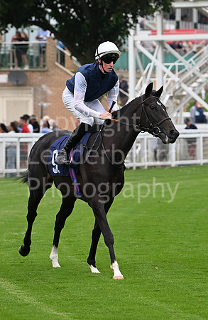 Gt_Yarm_19_Aug_Evening_Race-138