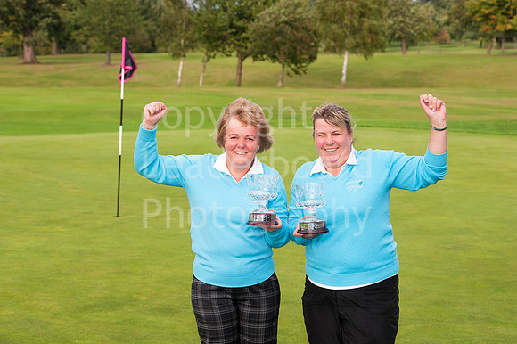 NB_PING_PLATE_WINNERS.