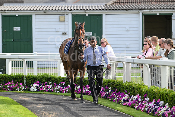 Gt_Yarm_28_July_2025-192