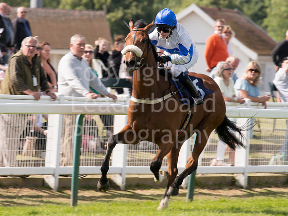 LB_GYR_140618_0420