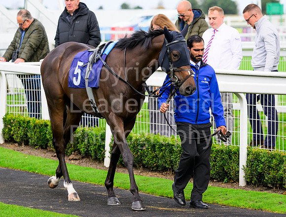 NZ9_5118