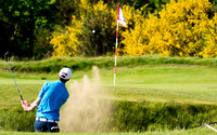 LB_Brabazon_2017_0835
