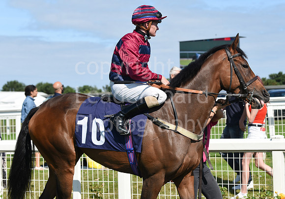 Gt_Yarm_Races_24_Aug_2021-106