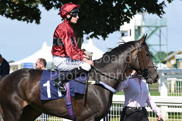 Gt_Yarm_Races_24_Aug_2021-101