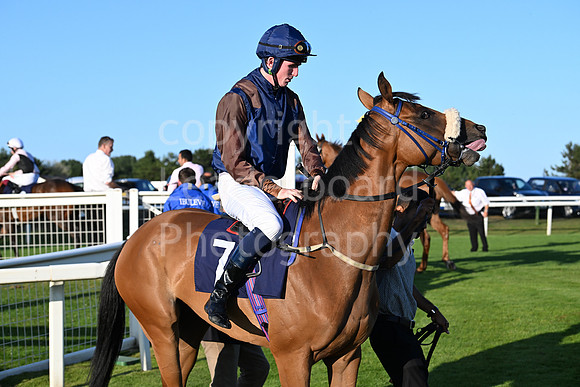 Gt_Yarm_Ladies Night_2025-127