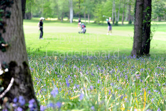 ENGLISH SENIOR WOMENS GOLF75