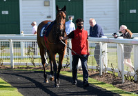 Gt_Yarm_1st_June_2021-4