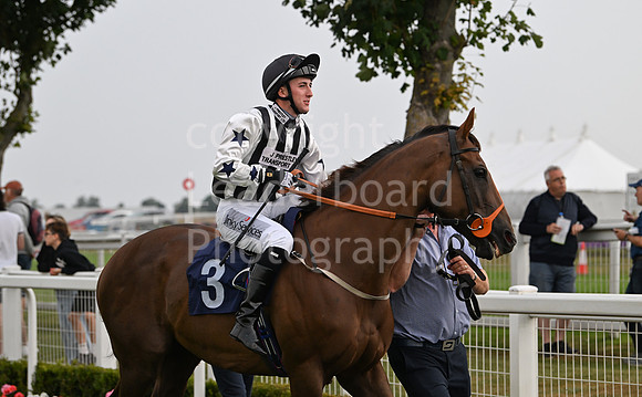 Gt_Yarm_19_Aug_Evening_Race-177