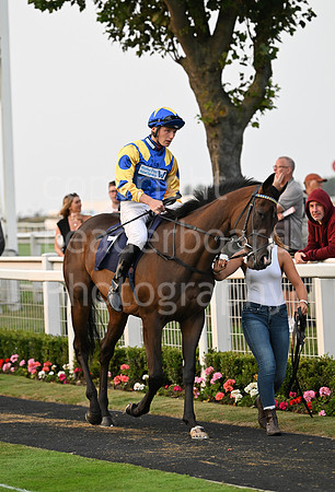Gt_Yarm_19_Aug_Evening_Race-234