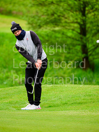 NB_019_Brab_2024