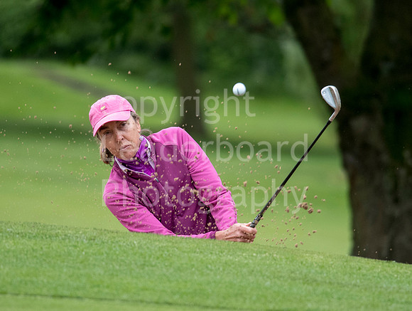 LB_Senior_Women_Staffs_2017_2699