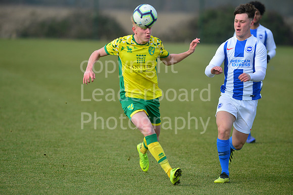 NB_035_NCFC_U18_Brighton