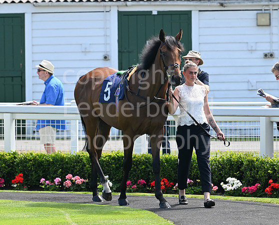 Gt_Yarm_July_30_2024-88