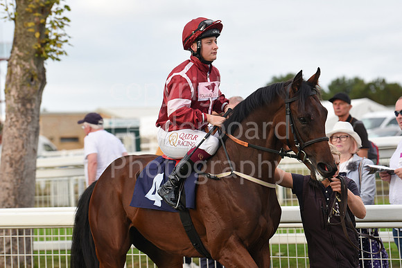 Gt_Yarm_14_Sept_2022-162