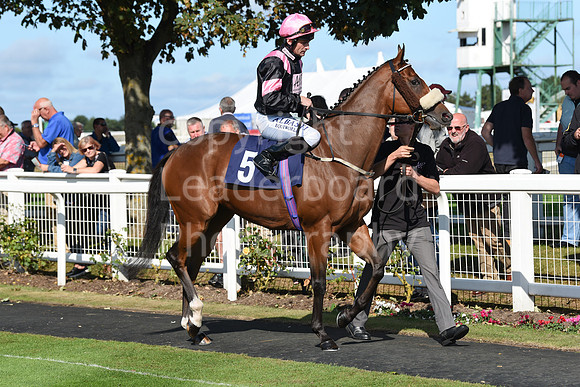 Gt_Yarm_Eastern_Fest_Day_2-118
