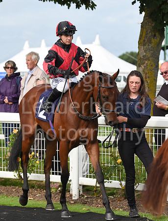Gt_Yarm_Races_24_Aug_2021-224