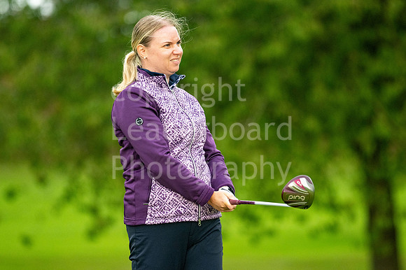 LBP_PIng_Mixed_2024-12-2