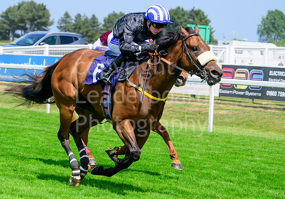 NZ9_2287