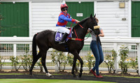 04_GY_8_Aug_Pony_Racing