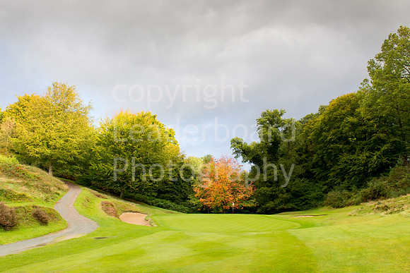 LB_Senior_Mens_County_2014_2929
