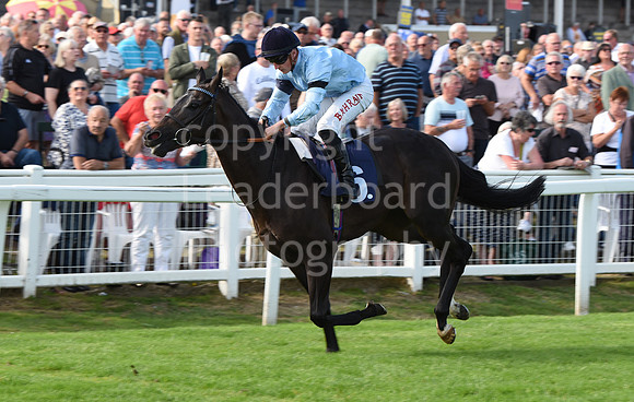 Gt_Yarm_14_Sept_2022-57